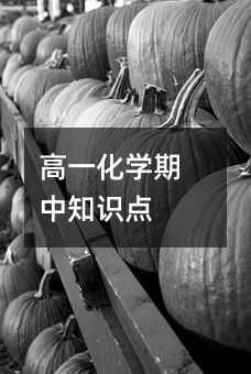 高一化学期中知识点