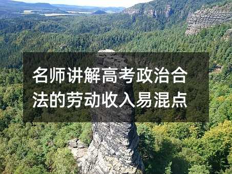 名师讲解高考政治合法的劳动收入易混点