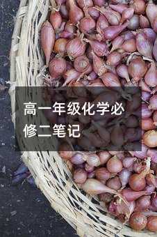 高一年级化学必修二笔记