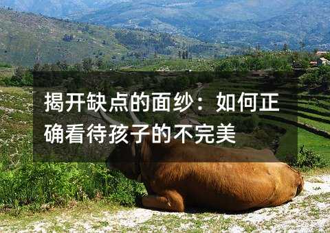 揭开缺点的面纱:如何正确看待孩子的不完美