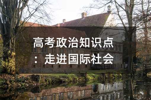 高考政治知识点:走进国际社会