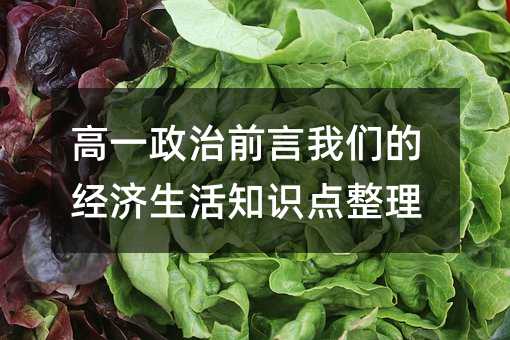 高一政治前言我们的经济生活知识点整理