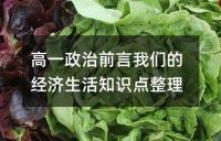 高一政治前言我们的经济生活知识点整理