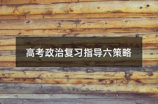高考政治复习指导六策略