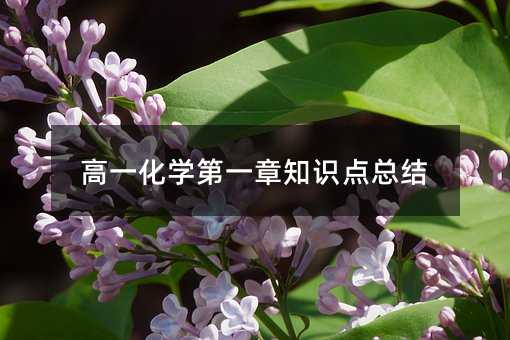 高一化学第一章知识点总结