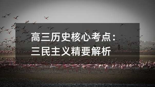 高三历史核心考点:三民主义精要解析