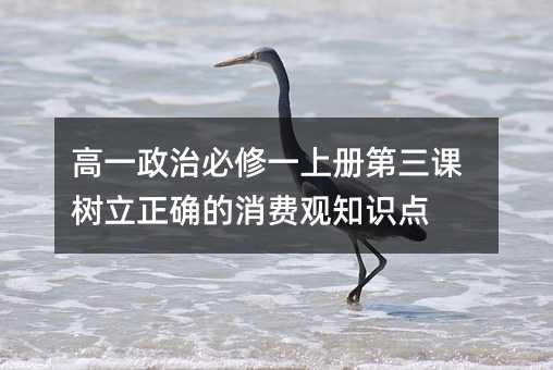 高一政治必修一上册第三课树立正确的消费观知识点