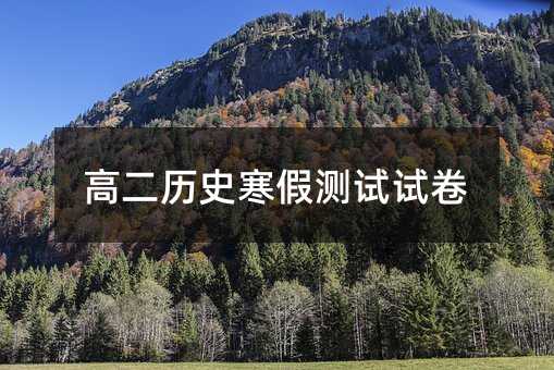 高二历史寒假测试试卷