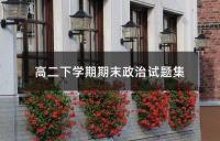 高二下学期期末政治试题集