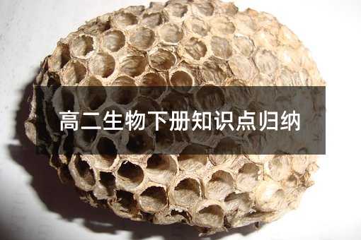 高二生物下册知识点归纳