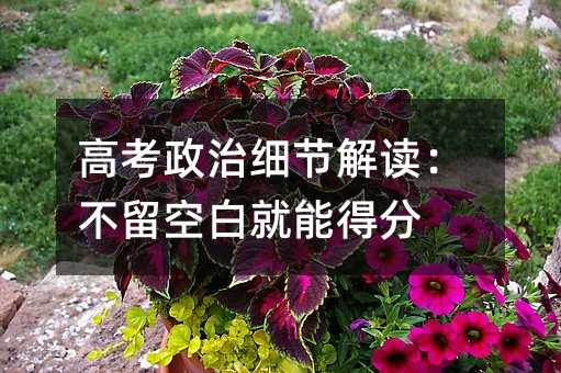 高考政治细节解读:不留空白就能得分