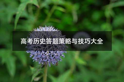 高考历史答题策略与技巧大全