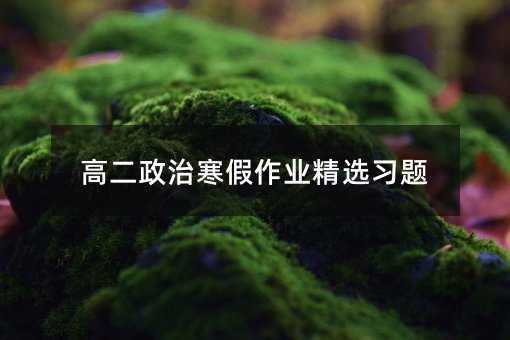 高二政治寒假作业精选习题