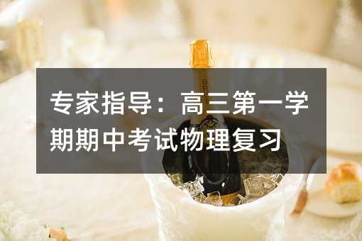 专家指导:高三第一学期期中考试物理复习