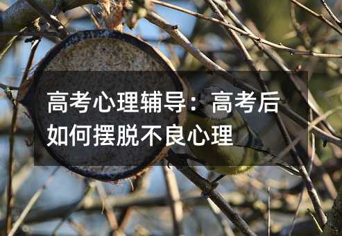 高考心理辅导：高考后如何摆脱不良心理