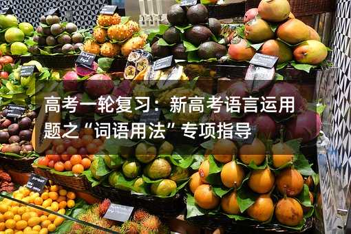 高考一轮复习:新高考语言运用题之“词语用法”专项指导