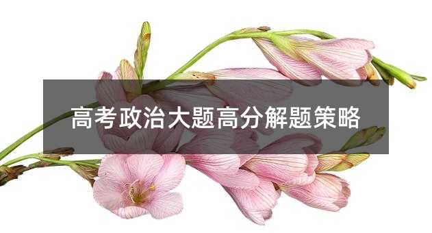 高考政治大题高分解题策略
