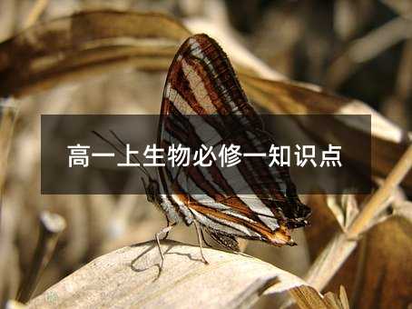 高一上生物必修一知识点