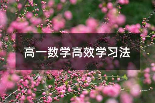高一数学高效学习法