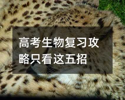 高考生物复习攻略只看这五招