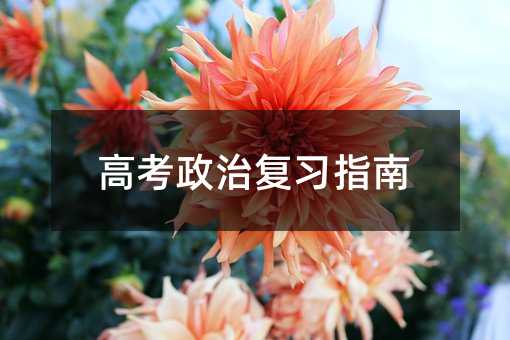 高考政治复习指南