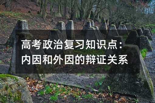 高考政治复习知识点:内因和外因的辩证关系
