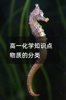 高一化学知识点物质的分类
