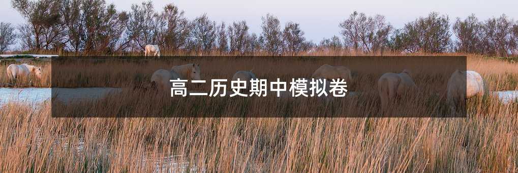 高二历史期中模拟卷