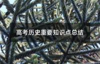 高考历史重要知识点总结