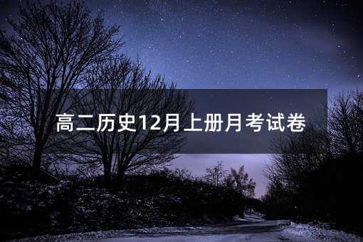 高二历史12月上册月考试卷