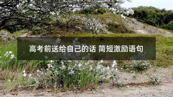 高考前送给自己的话 简短激励语句