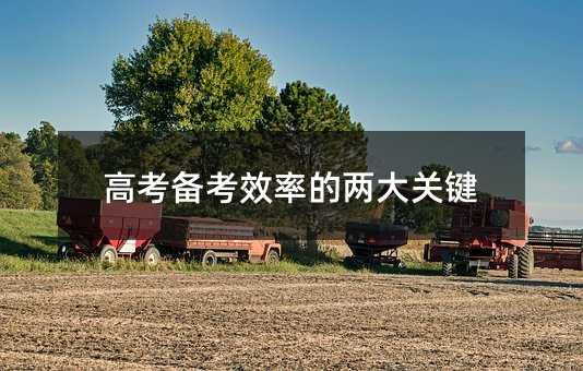 高考备考效率的两大关键