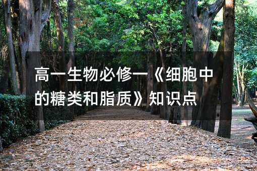 高一生物必修一《细胞中的糖类和脂质》知识点