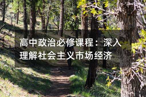高中政治必修课程:深入理解社会主义市场经济