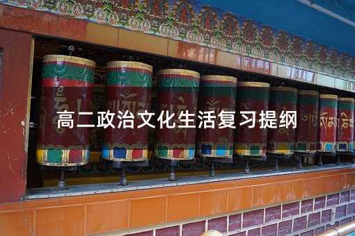 高二政治文化生活复习提纲