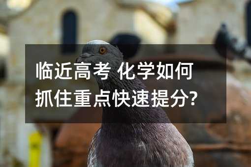 临近高考 化学如何抓住重点快速提分?
