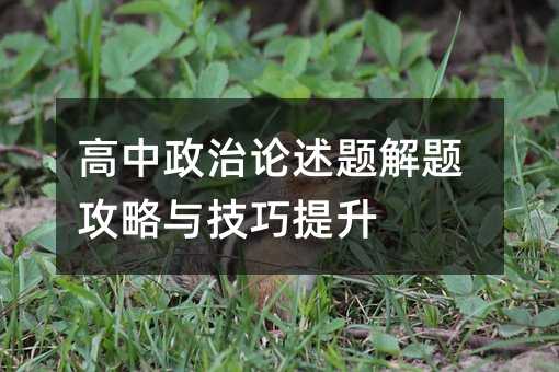 高中政治论述题解题攻略与技巧提升