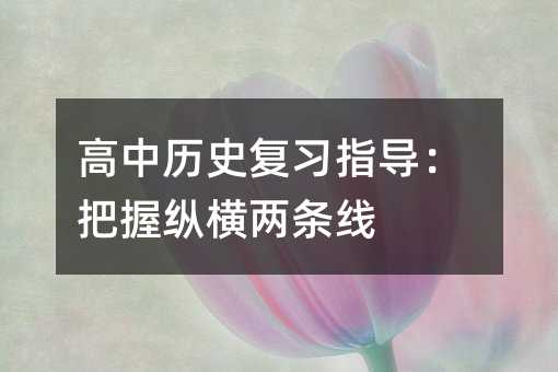 高中历史复习指导：把握纵横两条线