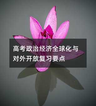 高考政治经济全球化与对外开放复习要点