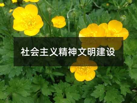 社会主义精神文明建设
