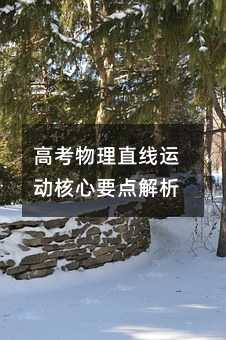 高考物理直线运动核心要点解析
