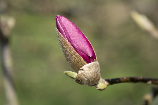 高考英语书面表达优秀范例
