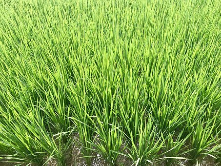 高一年级地理上学期知识点