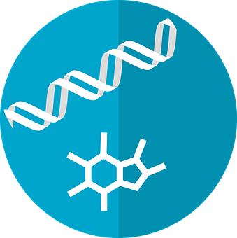 高考地理知识点汇总:河流的补给类型
