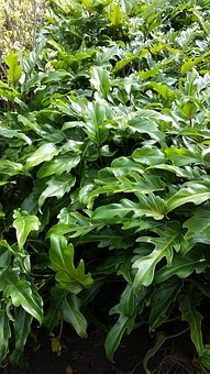 尊重儿童假期的自主权:父母在儿童成长中的角色