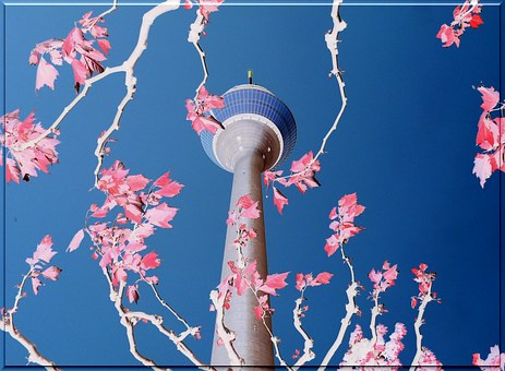 学霸分享如何提高高考政治复习效率