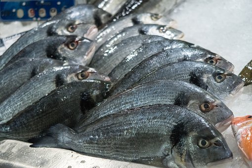 生物复习常考知识点