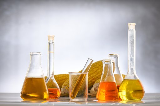 高一生物寒假复习要点