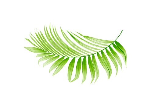 高考政治焦点:国家与国际组织剖析