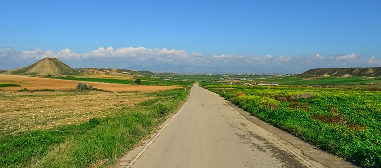 高三政治易错知识点